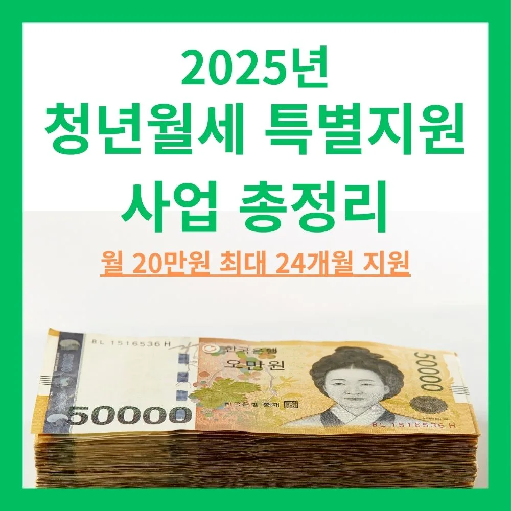 2025 청년월세 특별지원사업 총정리｜월 20만원 최대 24개월 지원